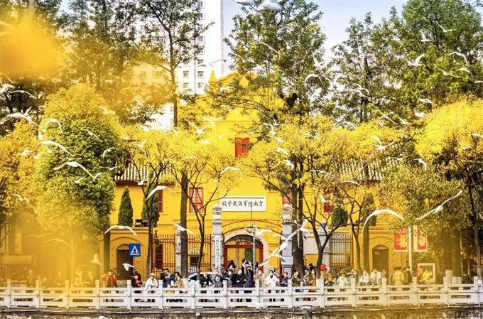 麗江旅游攻略：來云南邂逅不一樣的冬天，體驗(yàn)麗江非遺文化