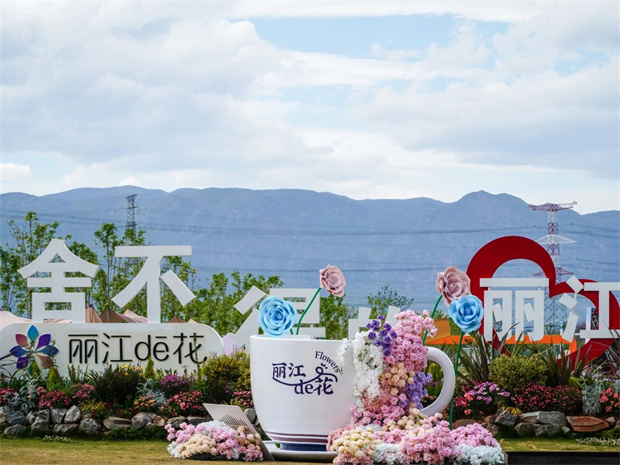 云南旅游,云南旅行社,云南團(tuán)建公司,云南策劃公司,云南會(huì)議會(huì)展公司,麗江旅游,麗江旅行社,麗江團(tuán)建公司,麗江策劃公司：愛(ài)上麗江的理由，從一朵花開(kāi)始